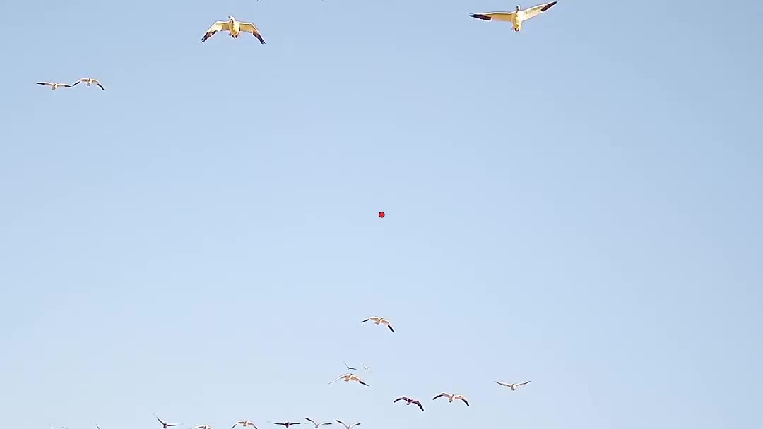 Video post from northernskiesoutfitters.