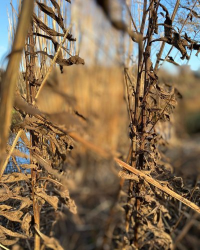 Photo post from sussexprairies.