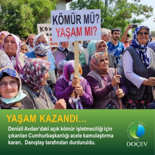 Photo post from dogavecevrevakfi.