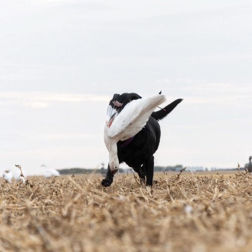 Photo post from northernskiesoutfitters.