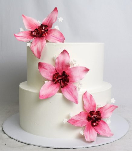 Photo post from marquettescakestudio.