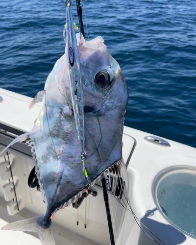 Photo post from ejs_fishing_charters.
