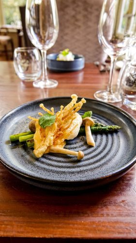 Video post from themoathouse.