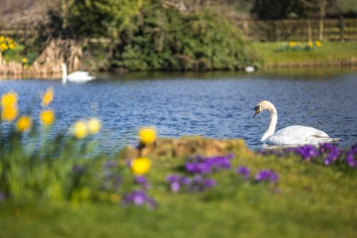 Photo post from themoathouse.