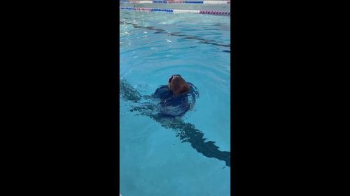Video post from nmswmidtown.