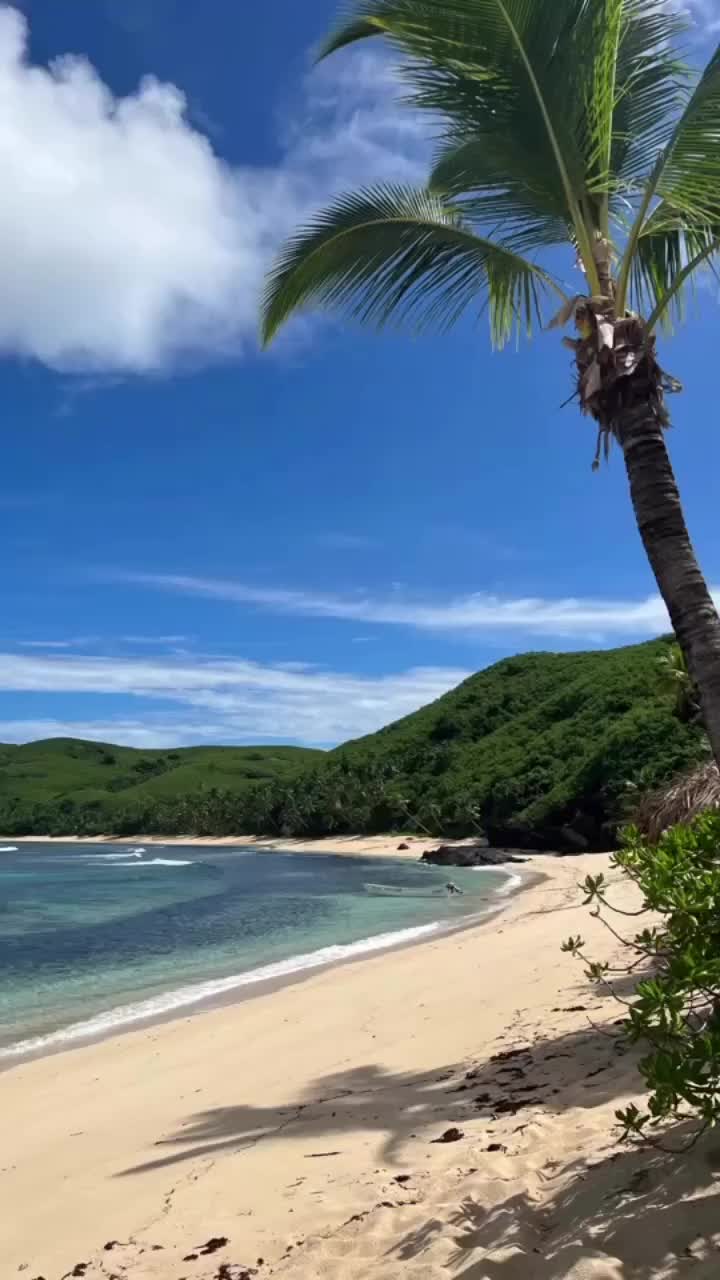 Video post from octopusresort.
