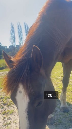 Video post from __amber_lydic__.