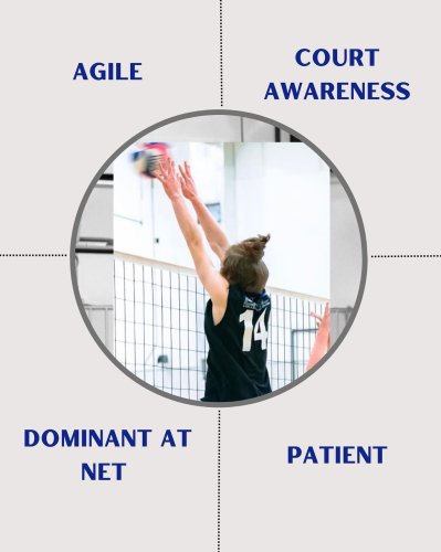 Photo post from epicvball.