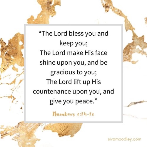 Photo post from drsivamm.