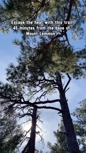 Video post from visittucson.