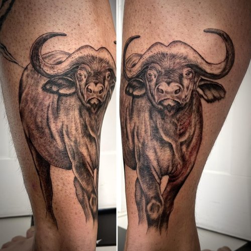 Amazon.com : Animal 6 sheets Temporary Tattoos for Adults Men Women  Rhinoceros Africa Savannah Rhino Bison Buffalo Bull Forests Night Tribe  Bear Grizzly Wolf Lion Fake Tattoo Kits Sets For Neck Arm