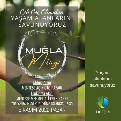 Photo post from dogavecevrevakfi.