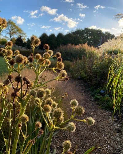 Photo post from sussexprairies.