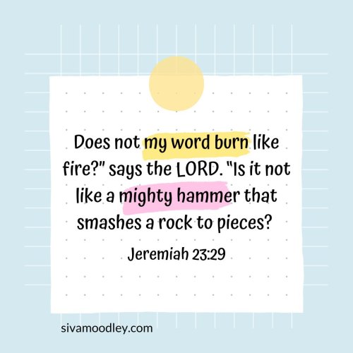 Photo post from drsivamm.