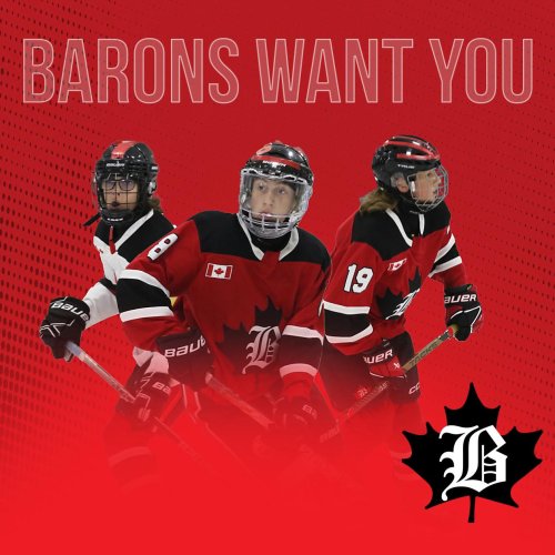 Photo post from orhlhockey.