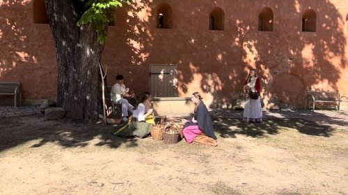 Video post from whg_riesa.