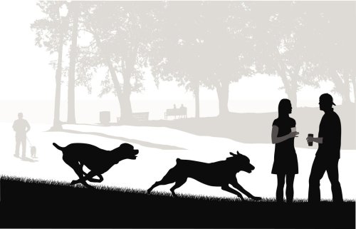 Photo post from jlythcotthaims.