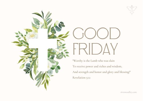 Photo post from drsivamm.