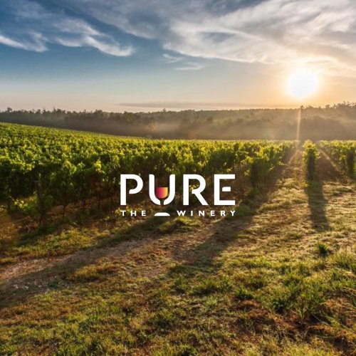 Photo post from purethewineryes.