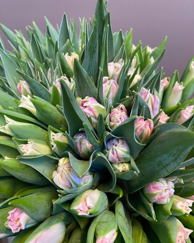 Photo post from blomsterborsen.