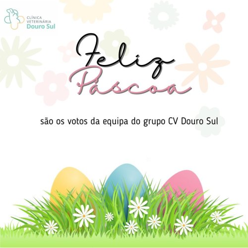 Photo post from clinica_veterinaria_dourosul.