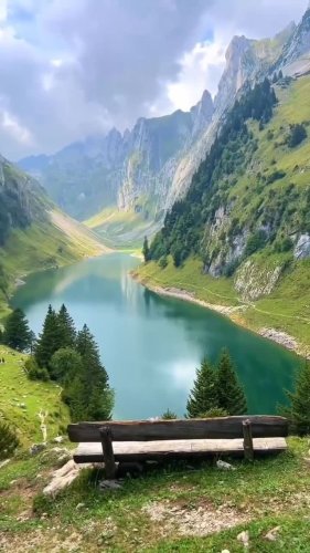 Video post from briiv.natural.