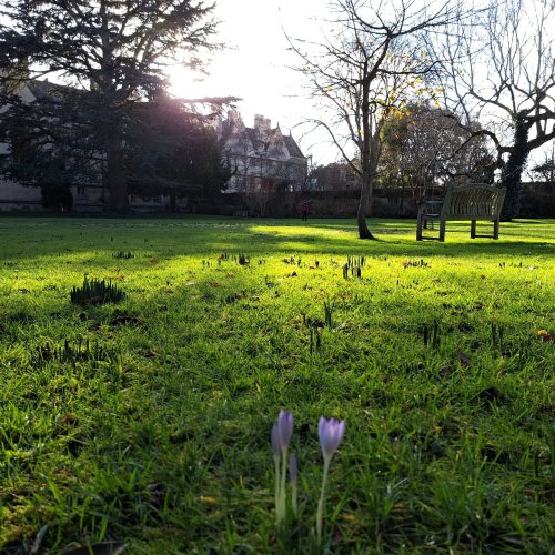 Photo post from wadhamoxford.