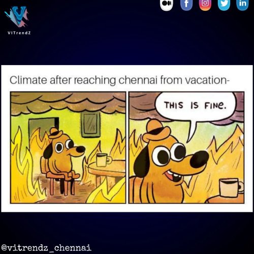 Carousel post from vitrendz_chennai.