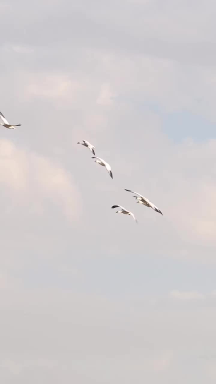 Video post from northernskiesoutfitters.