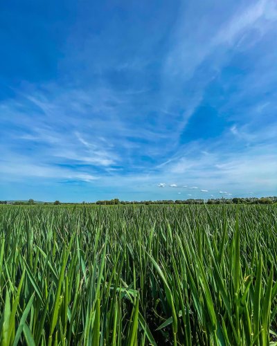 Carousel post from glasshouseretreat.