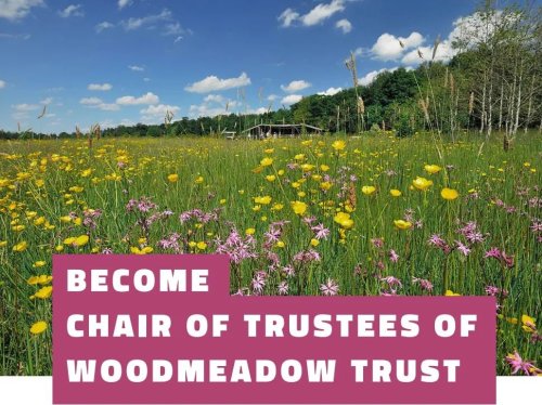 Photo post from woodmeadowtrust.