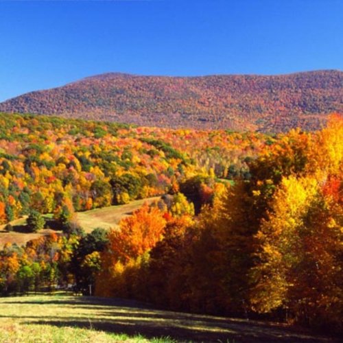 Photo post from hotelonnorth.