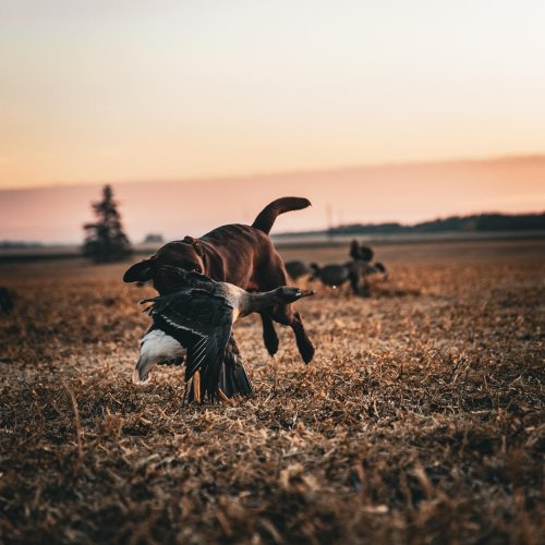 Photo post from northernskiesoutfitters.