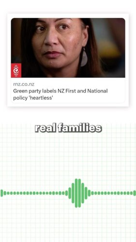 Video post from nzgreenparty.