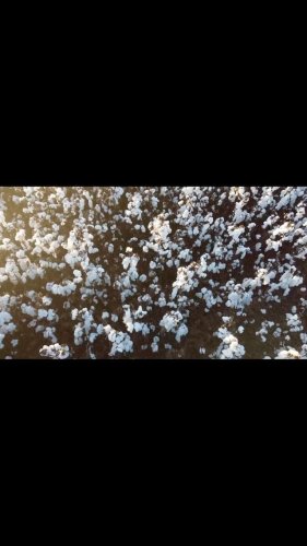 Video post from howefarming.