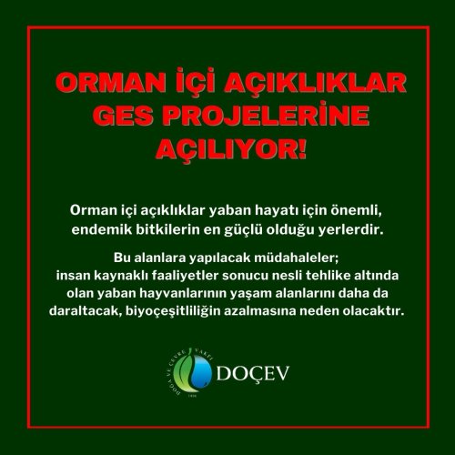 Photo post from dogavecevrevakfi.