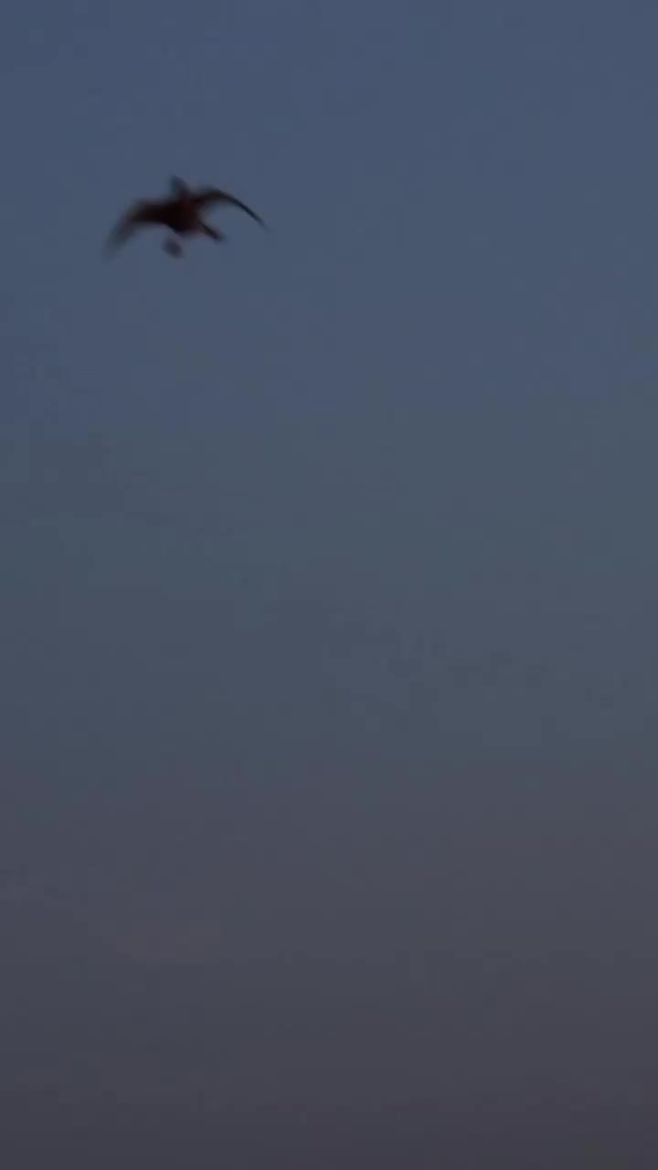 Video post from northernskiesoutfitters.