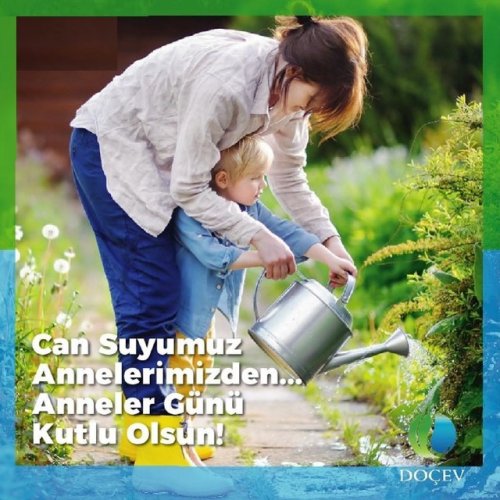 Photo post from dogavecevrevakfi.