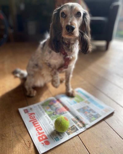 Photo post from bramleynewspaper.