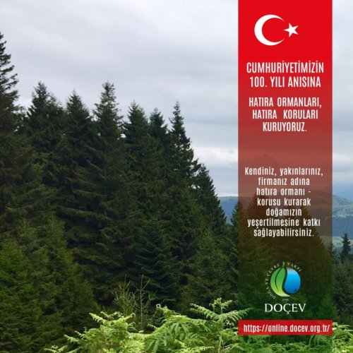 Photo post from dogavecevrevakfi.