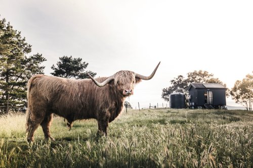 Photo post from in2thewild.aus.