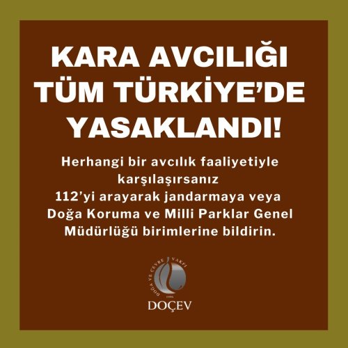Photo post from dogavecevrevakfi.