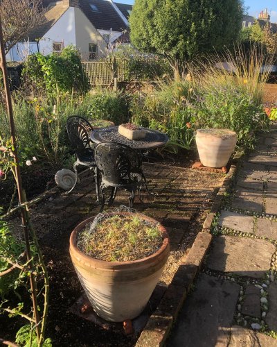 Photo post from gardenhousebrighton.