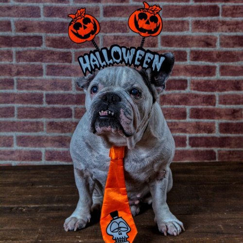 Photo post from hotelonnorth.