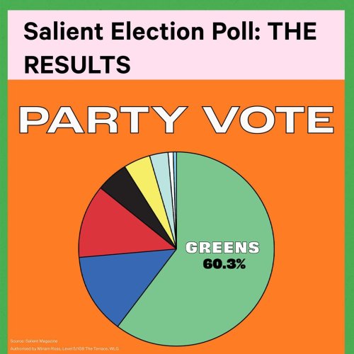 Carousel post from nzgreenparty.