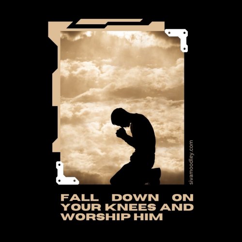 Photo post from drsivamm.