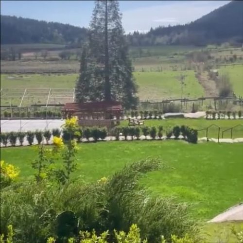 Video post from woodstonemanor.