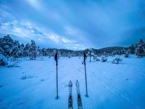 Photo post from duttons_eventyr.