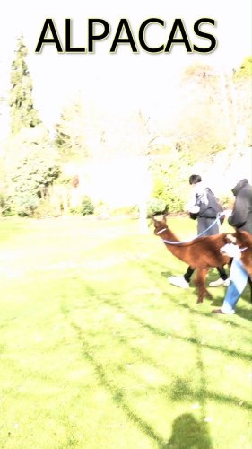 Video post from wadhamoxford.