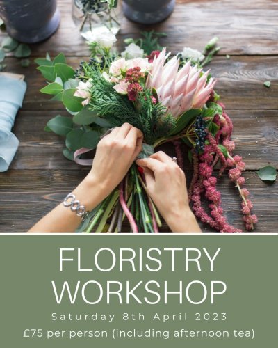 Photo post from themoathouse.